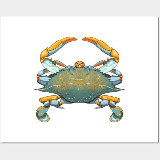 Blue Crab Posters and Art